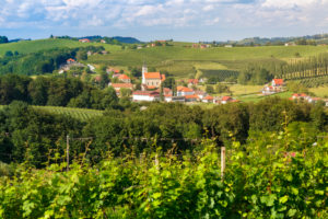 the small village of Miklavz pri Ormozu in the wine growing region of Jeruzalem, Municipality of Ormoz, Slovenian Styria, Slovenia the small village of Miklavz pri Ormozu in the wine growing region of Jeruzalem, Municipality of Ormoz, Slovenian Styria, Slovenia